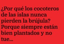 «Cocoteros: Expertos en Navegación y Viajes Low-Cost»