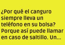 El canguro y sus llamadas saltarinas
