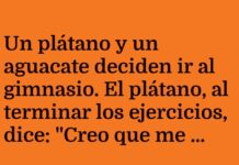 «El Fitness del Guacamole»