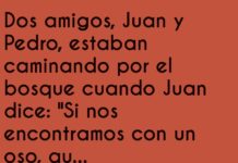 El oso y el buffet de madera