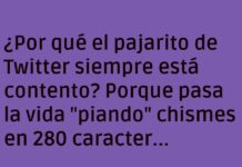 El Pajarito Feliz: Piando sin Consecuencias