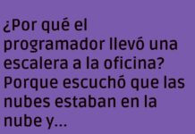 El Programador Escalador de la Nube