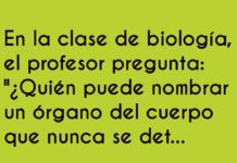 El órgano insaciable en clase