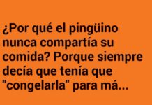 «Humor Ártico: La Frialdad del Pingüino»