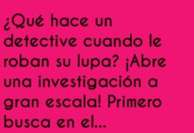 Investigación a Gran Escala Sin Lupa