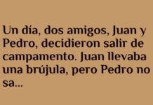 La brújula despistada en el Polo Sur