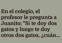 La lógica felina de Juanito