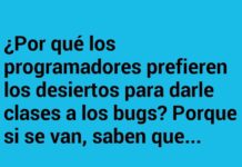 Programadores y Bugs en el Desierto